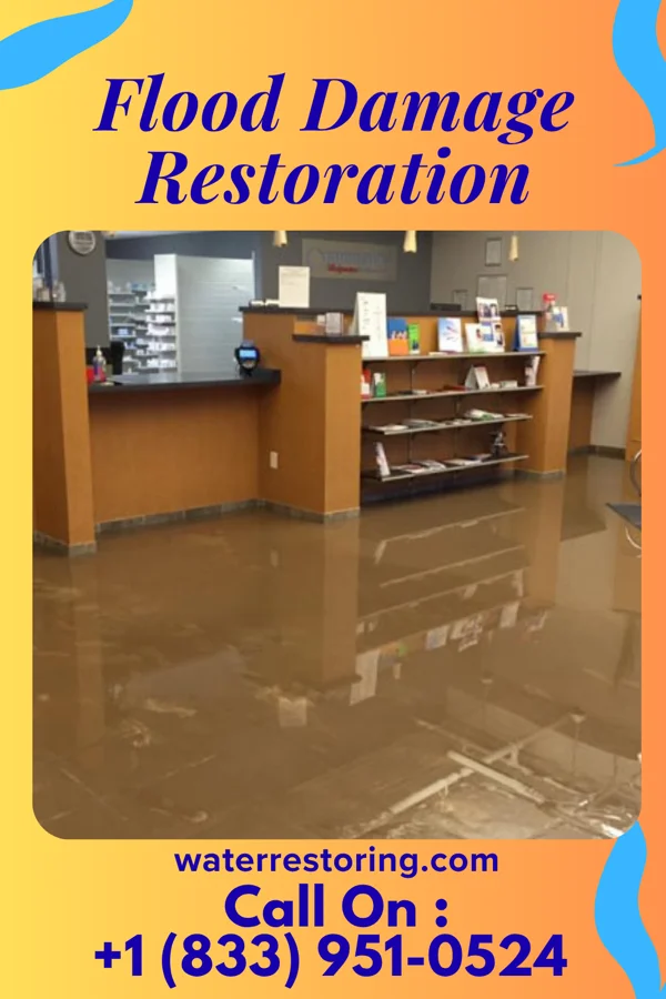 Flood Damage Restoration in Havana, FL